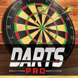 Darts Pro