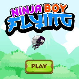 Flying Ninja