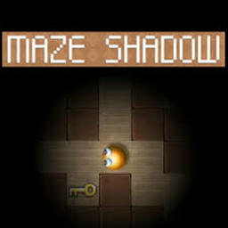 Maze Shadow